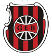 GE Brasil